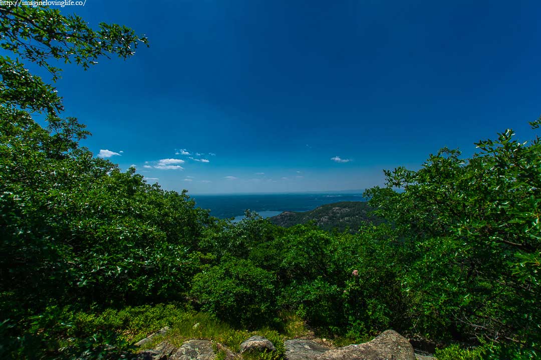 Mount Taurus View